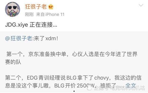 圈内人爆料jdg兮夜连接成功,连接成功开启新篇章