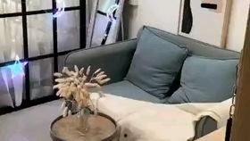 沙井租房爆料事件最新情况,最新进展揭秘，真相大白！